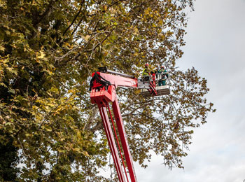 Plataforma elevadora sobre oruga modelo Spider 27.14